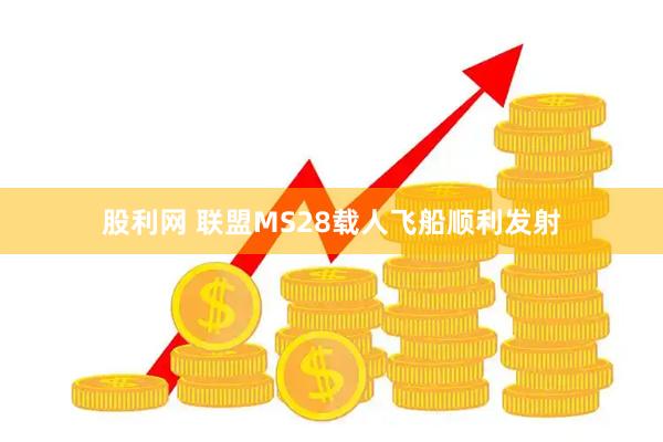 股利网 联盟MS28载人飞船顺利发射
