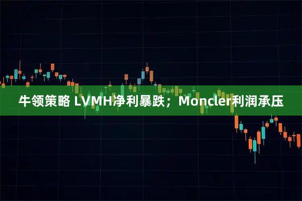 牛领策略 LVMH净利暴跌；Moncler利润承压